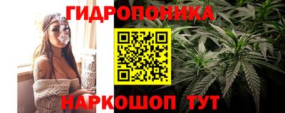 ГАЛЛЮЦИНОГЕННЫЕ ГРИБЫ Дубна