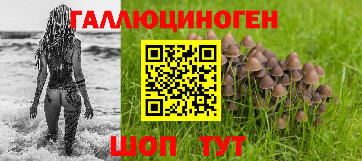 Галлюциногенные грибы мицелий  Вход с VPN  Малоярославец  Псилоцибиновые грибы GOLDEN TEACHER 